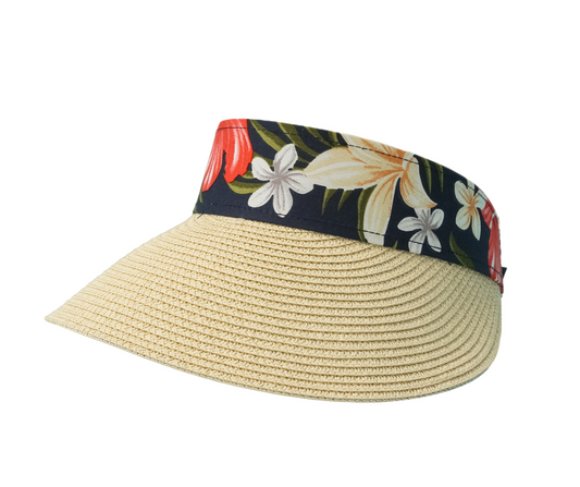 Hawaii | Visor