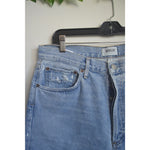 AGOLDE 90’s Jeans Los Angeles Light Denim Straight Leg Size 29