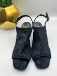 Vaneli Black Suede like peep toe shoe with clear heel
